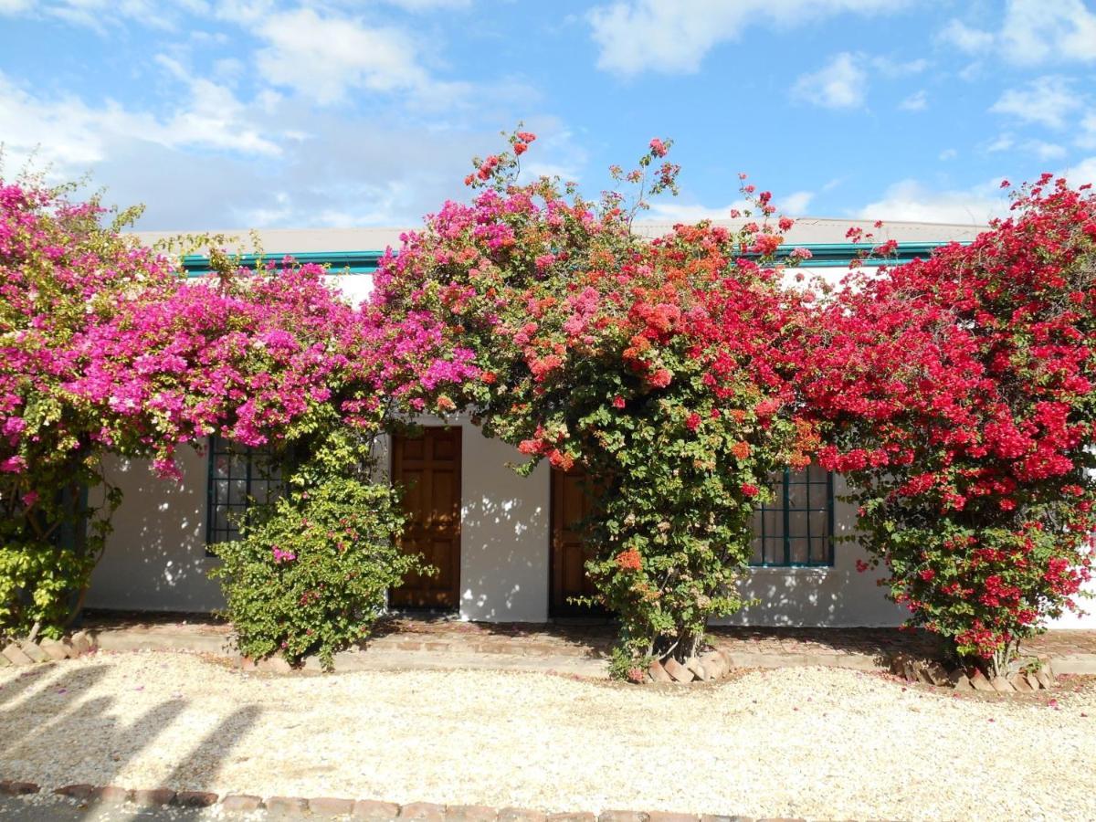 Graaff-Reinet Obesa Lodge מראה חיצוני תמונה