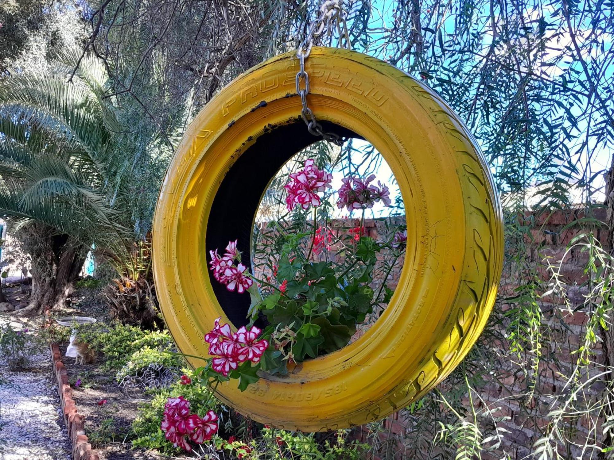 Graaff-Reinet Obesa Lodge מראה חיצוני תמונה