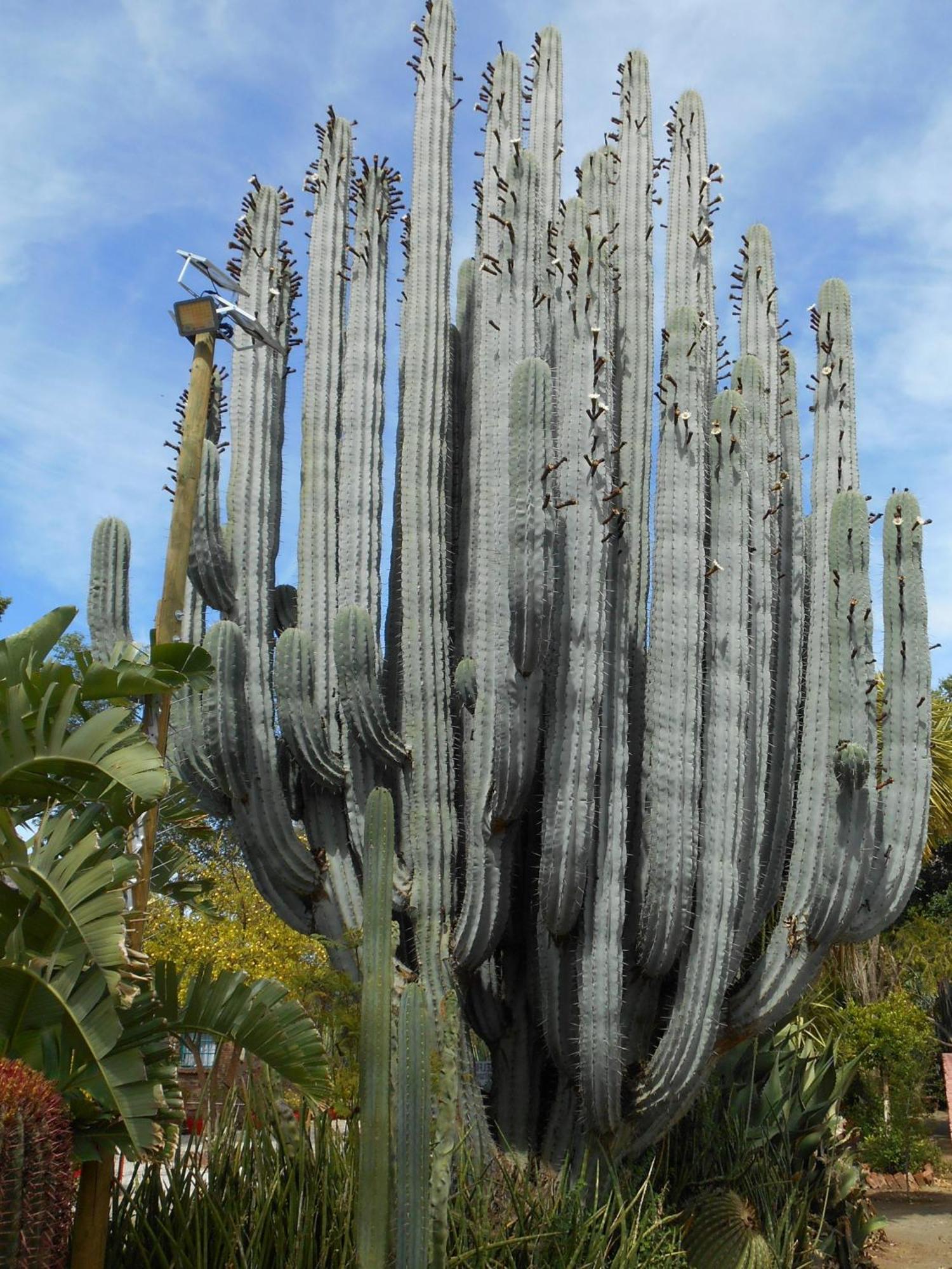 Graaff-Reinet Obesa Lodge מראה חיצוני תמונה